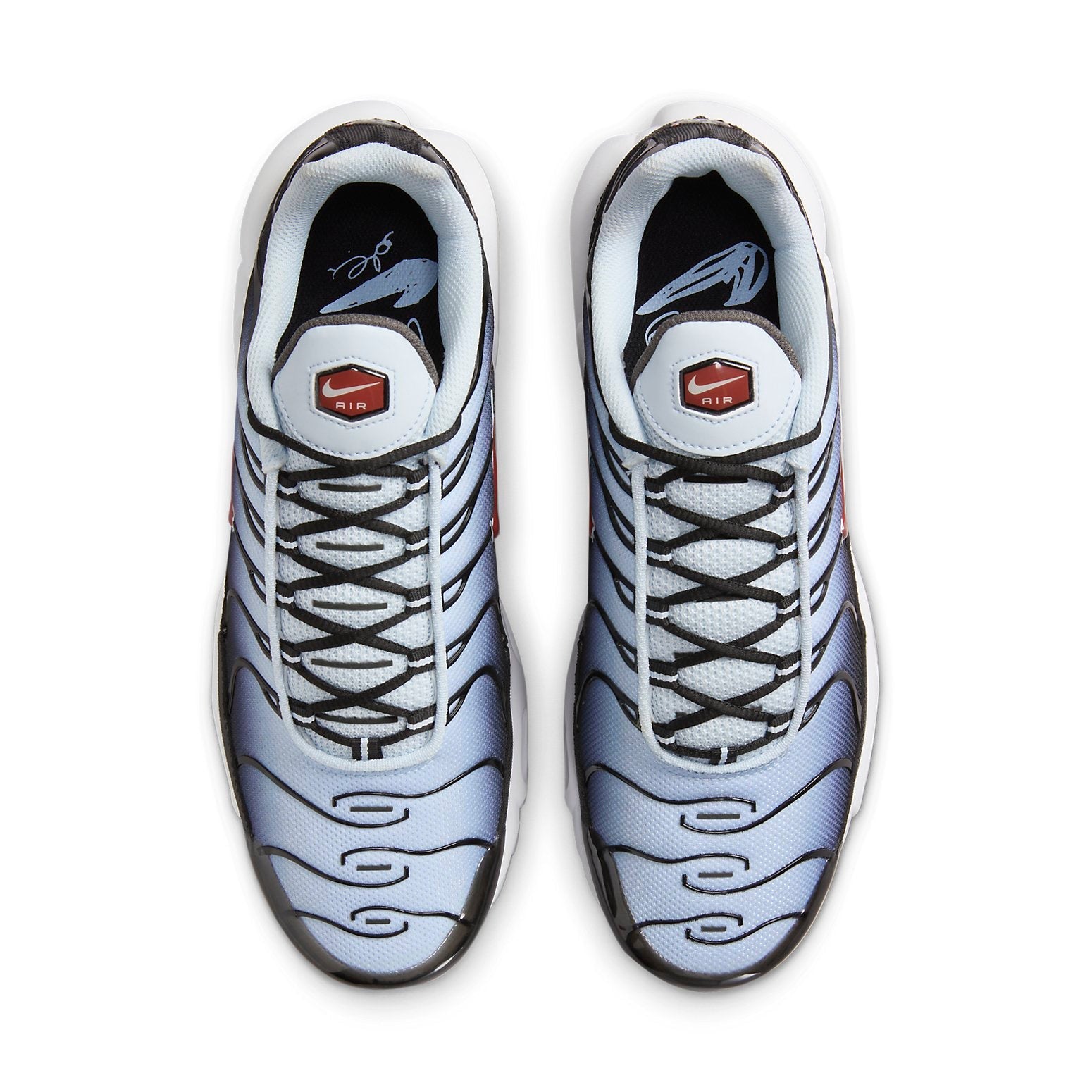 Nike Air Max Plus 'Black Blue Tint' DM0032-008