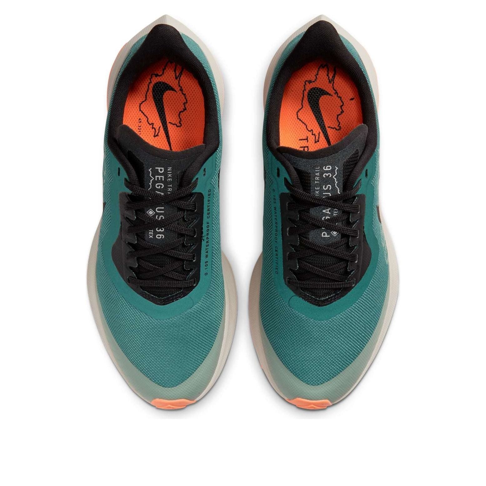 (WMNS) Nike Air Zoom Pegasus 36 Trail GTX 'Bicoastal' BV7763-300
