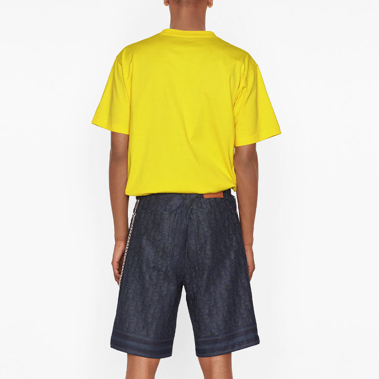 Men's DIOR x PETER DOIG Crossover FW21 Logo Embroidered Round Neck Short Sleeve Yellow T-Shirt 143J685C0677-C270