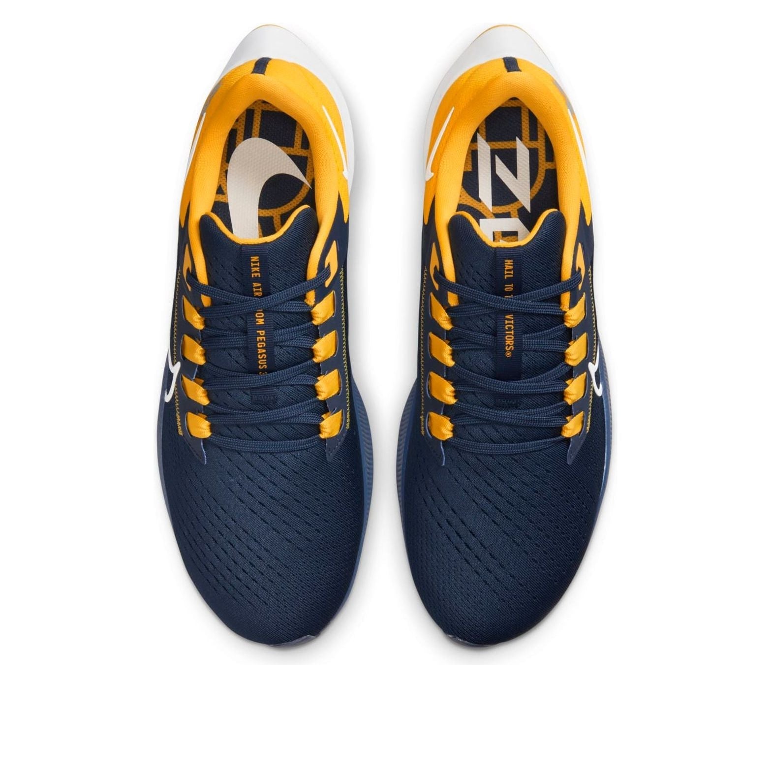 Nike Air Zoom Pegasus 38 'Michigan' DJ0838-400