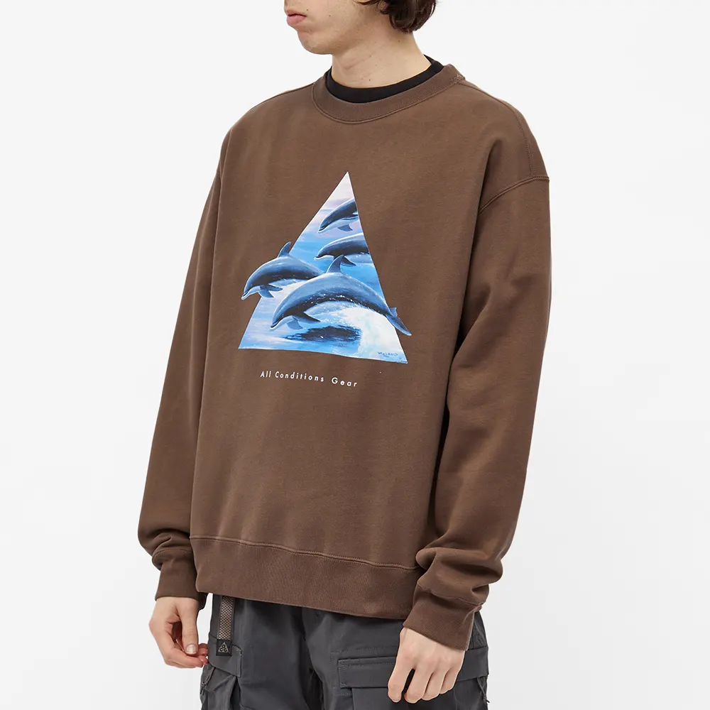 Nike ACG Whale Crew Sweat 'Ironstone Smoke Grey' DH1580-004