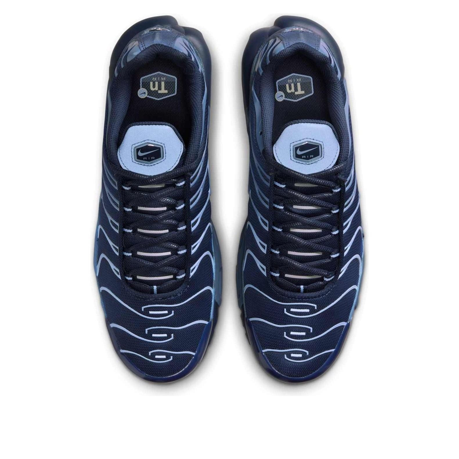 Nike Air Max Plus 'Obsidian Aluminum' IM6601-451