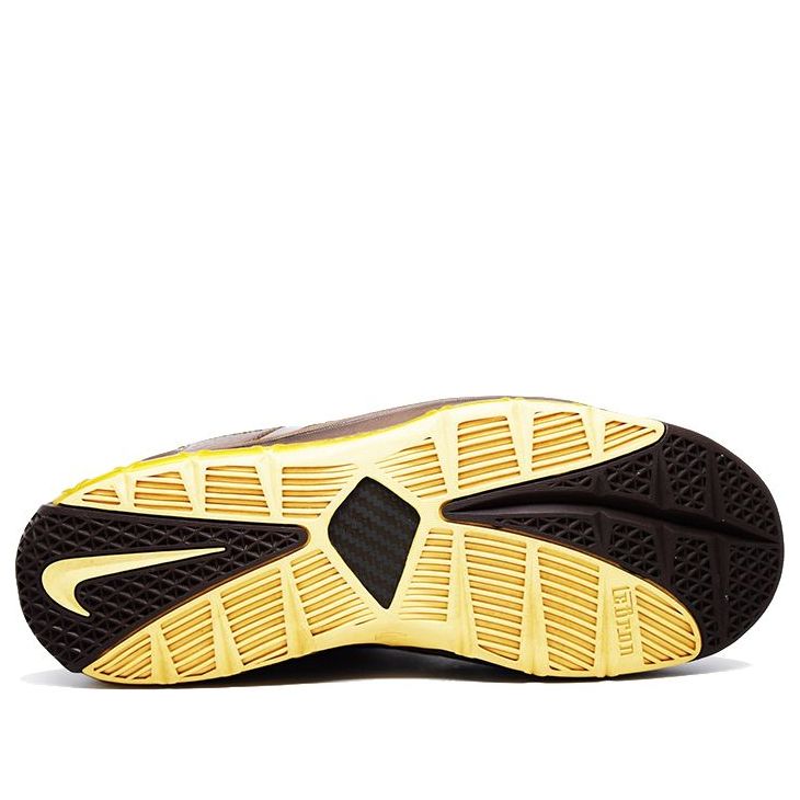 Nike Zoom LeBron 3 'Birthday Edition' 312147-221