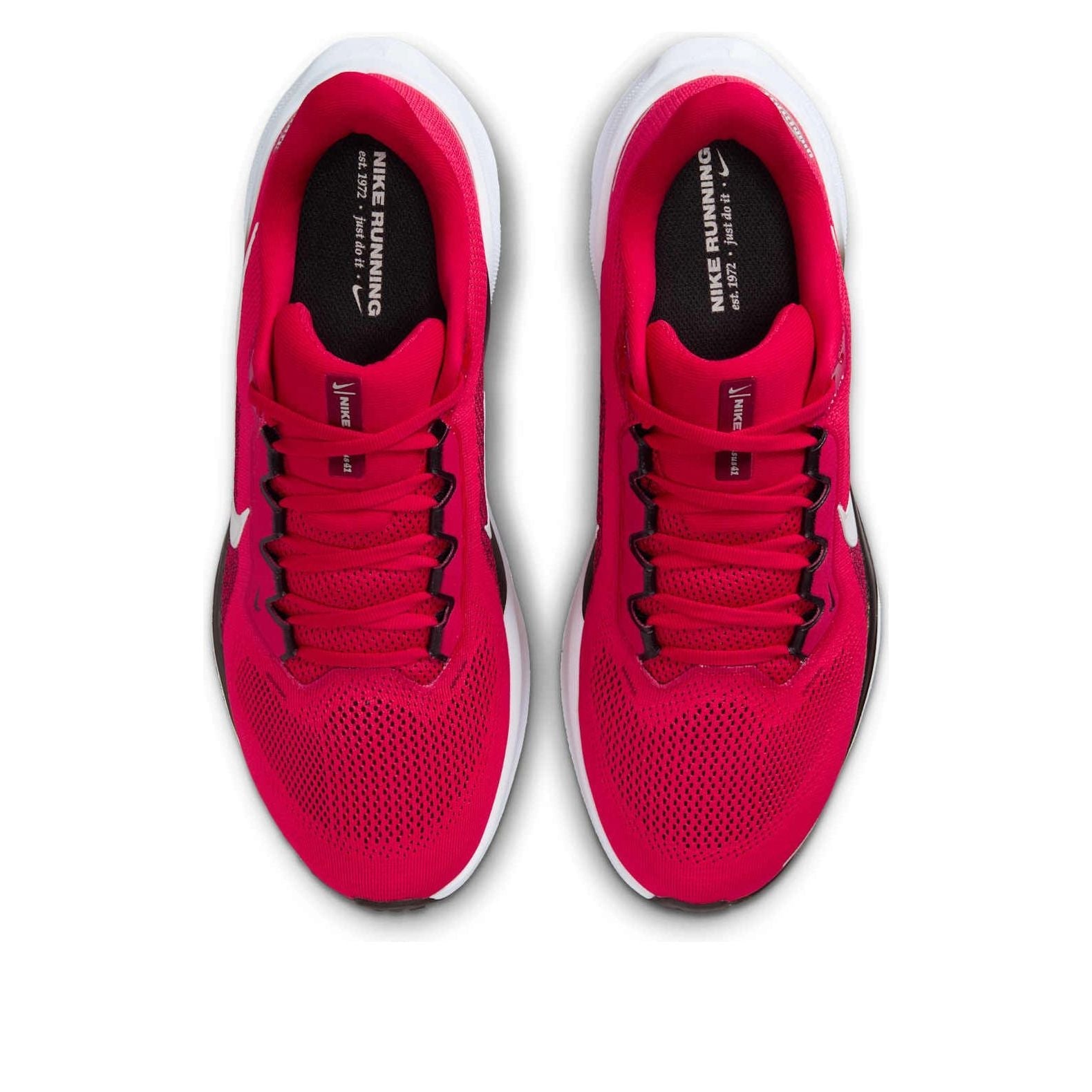 Nike x NCAA Pegasus 41 'Ohio State' IB3254-600