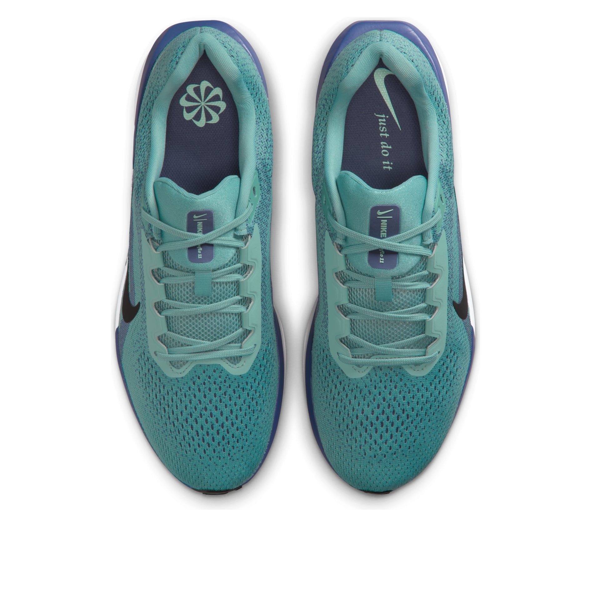 Nike Winflo 11 'Cannon Sanded Purple'  FJ9509-010