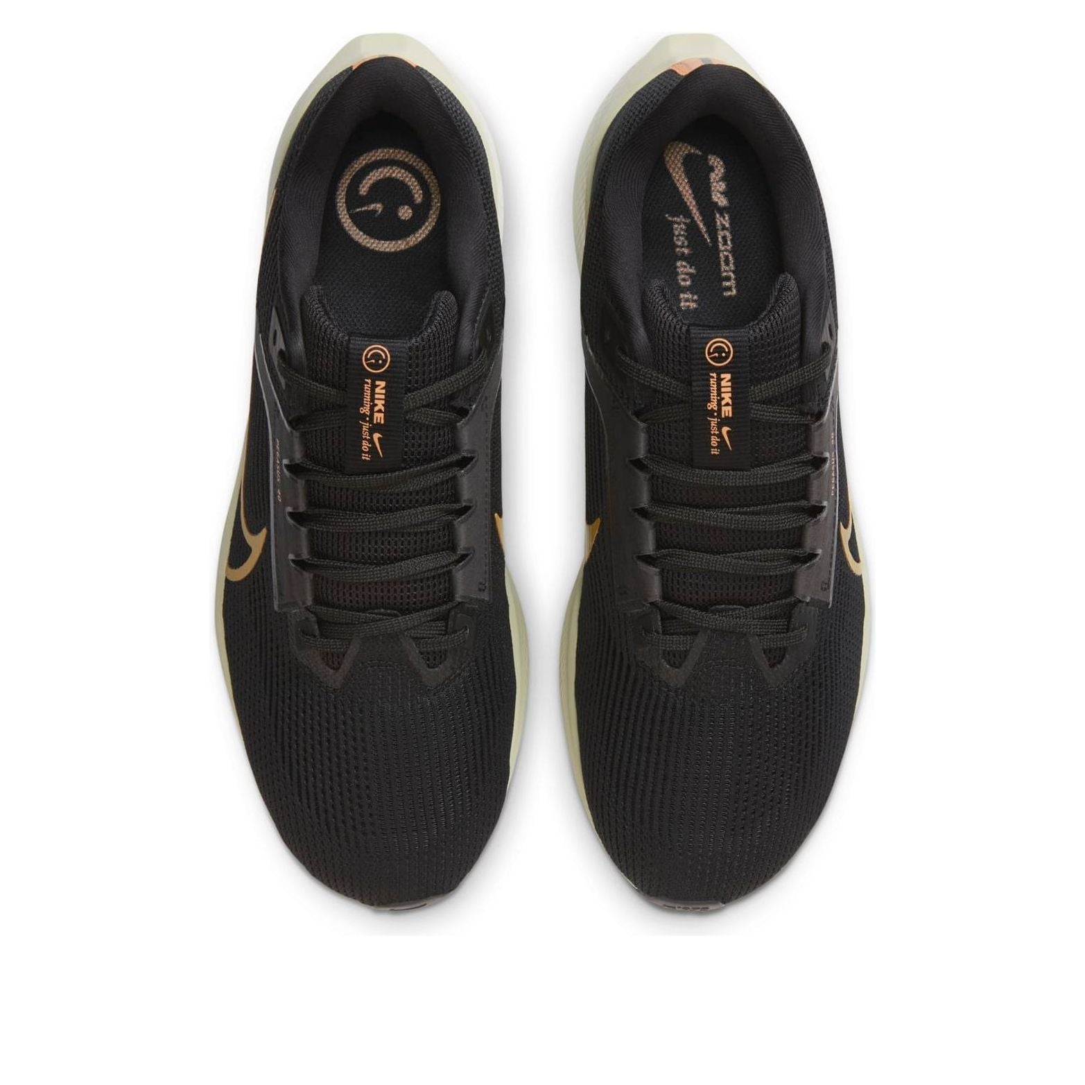 Nike Air Zoom Pegasus 40 'Black Bronze' HF0732-070