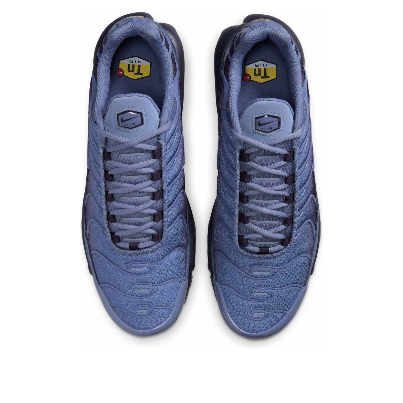 Nike Air Max Plus 'World Indigo' DM0032-404