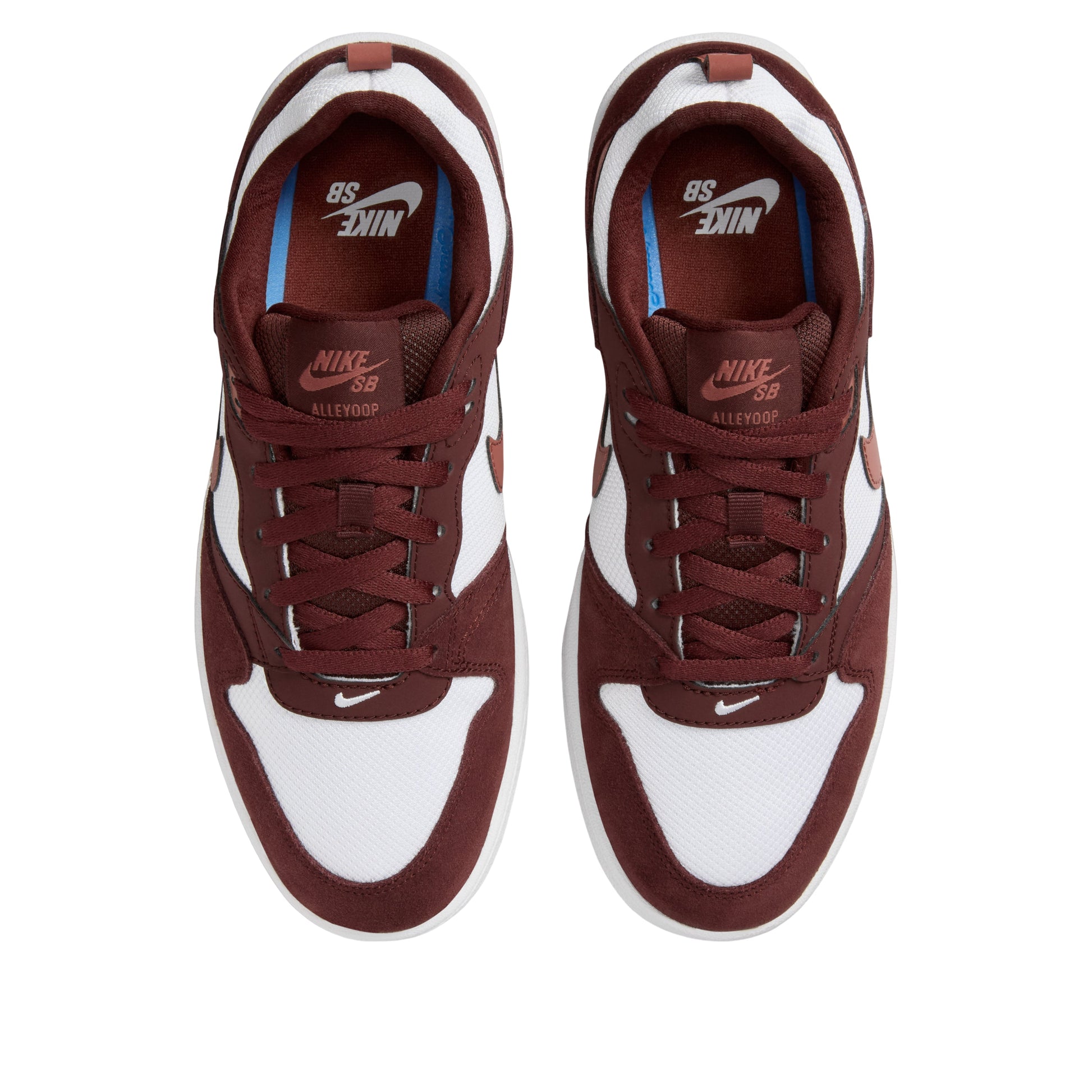 (WMNS) Nike SB Alleyoop 'Mystic Dates Claystone Red' CQ0369-601