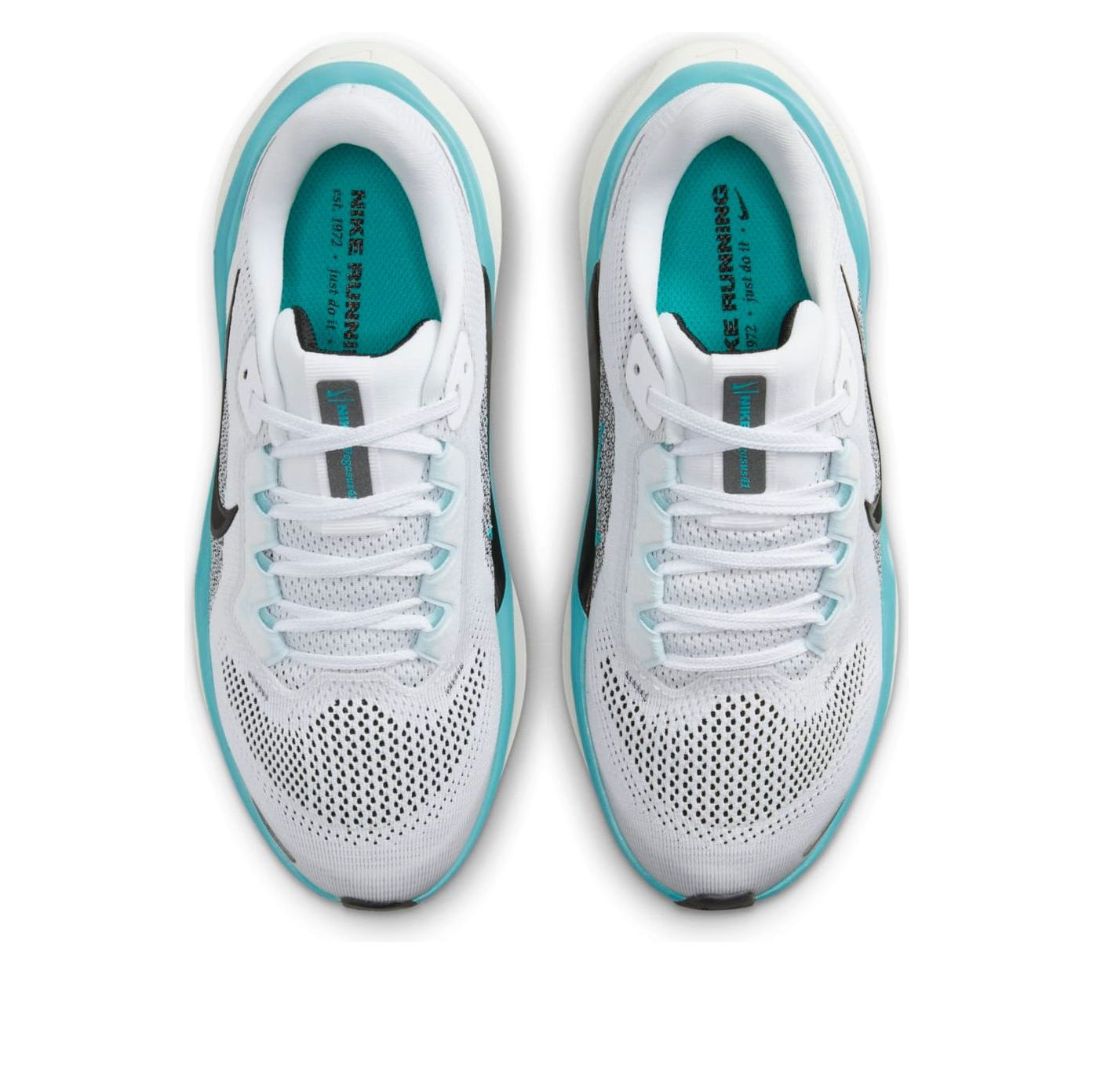 (GS) Nike Air Zoom Pegasus 41 'White Dusty Cactus' FN5041-103