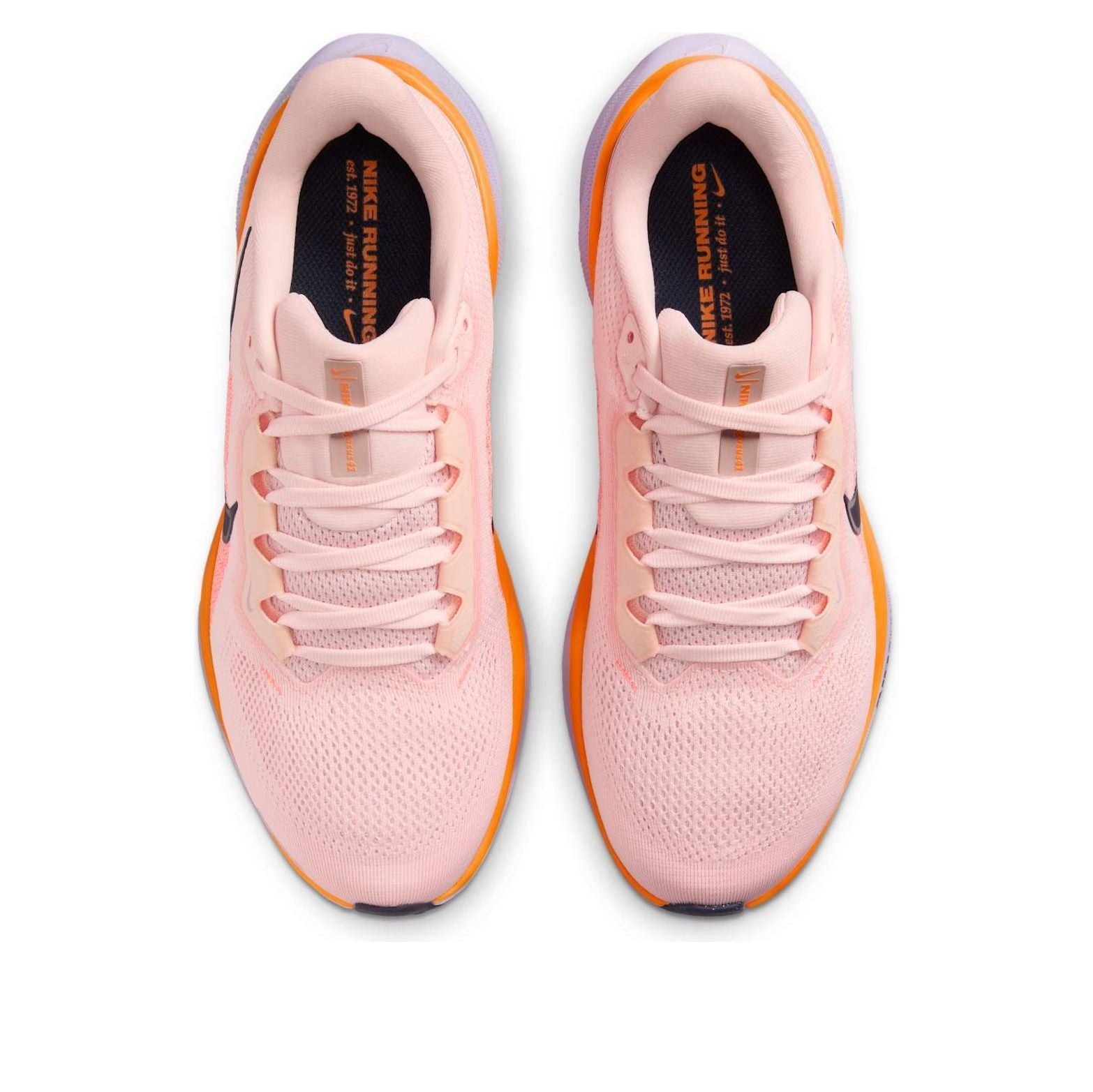 (WMNS) Nike Air Zoom Pegasus 41 'Atmosphere Hydrangeas' FD2723-603