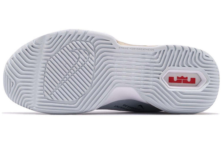 Nike Ambassador 11 'Pure Platinum' AO2920-002