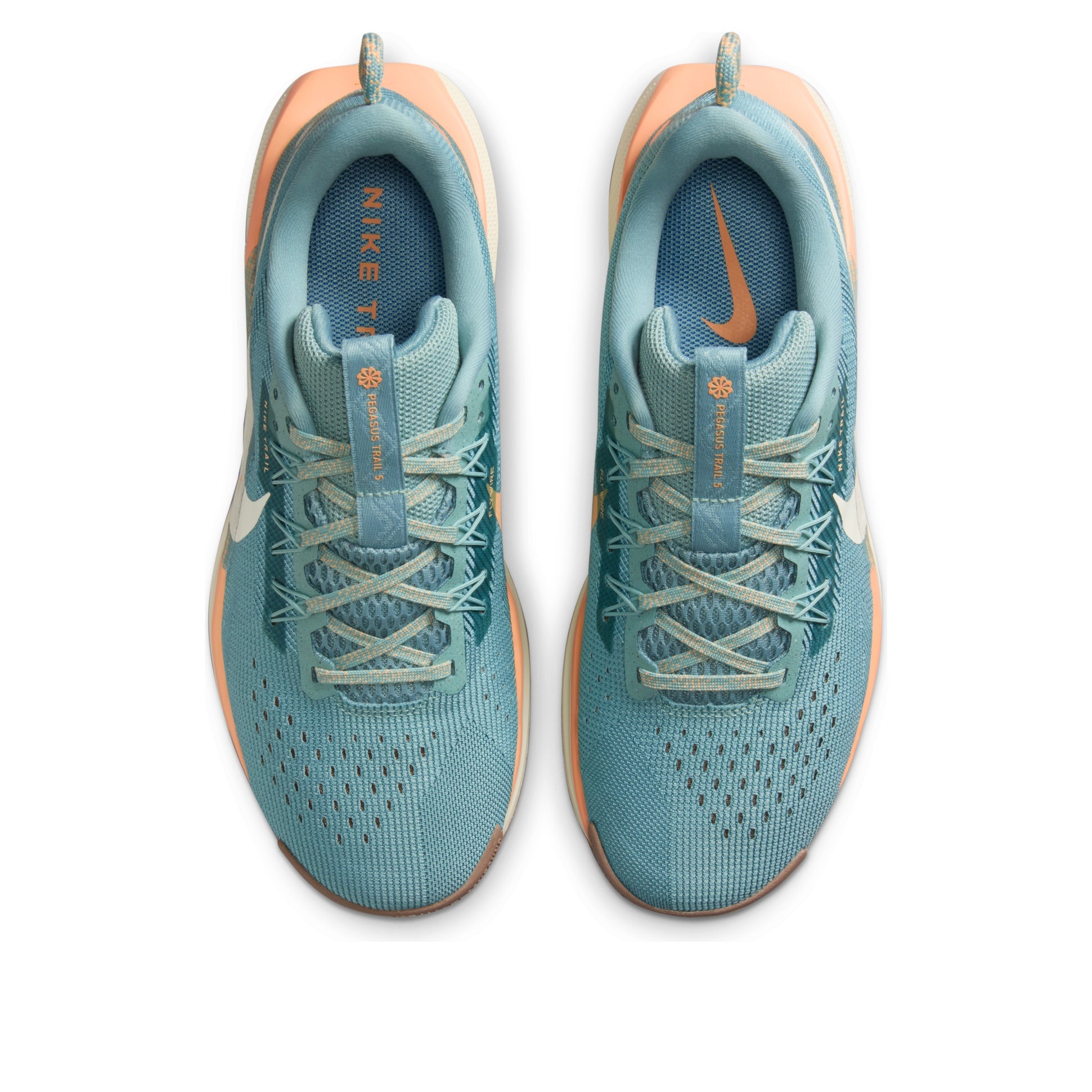 (WMNS) Nike Pegasus Trail 5 'Cannon' DV3865-010