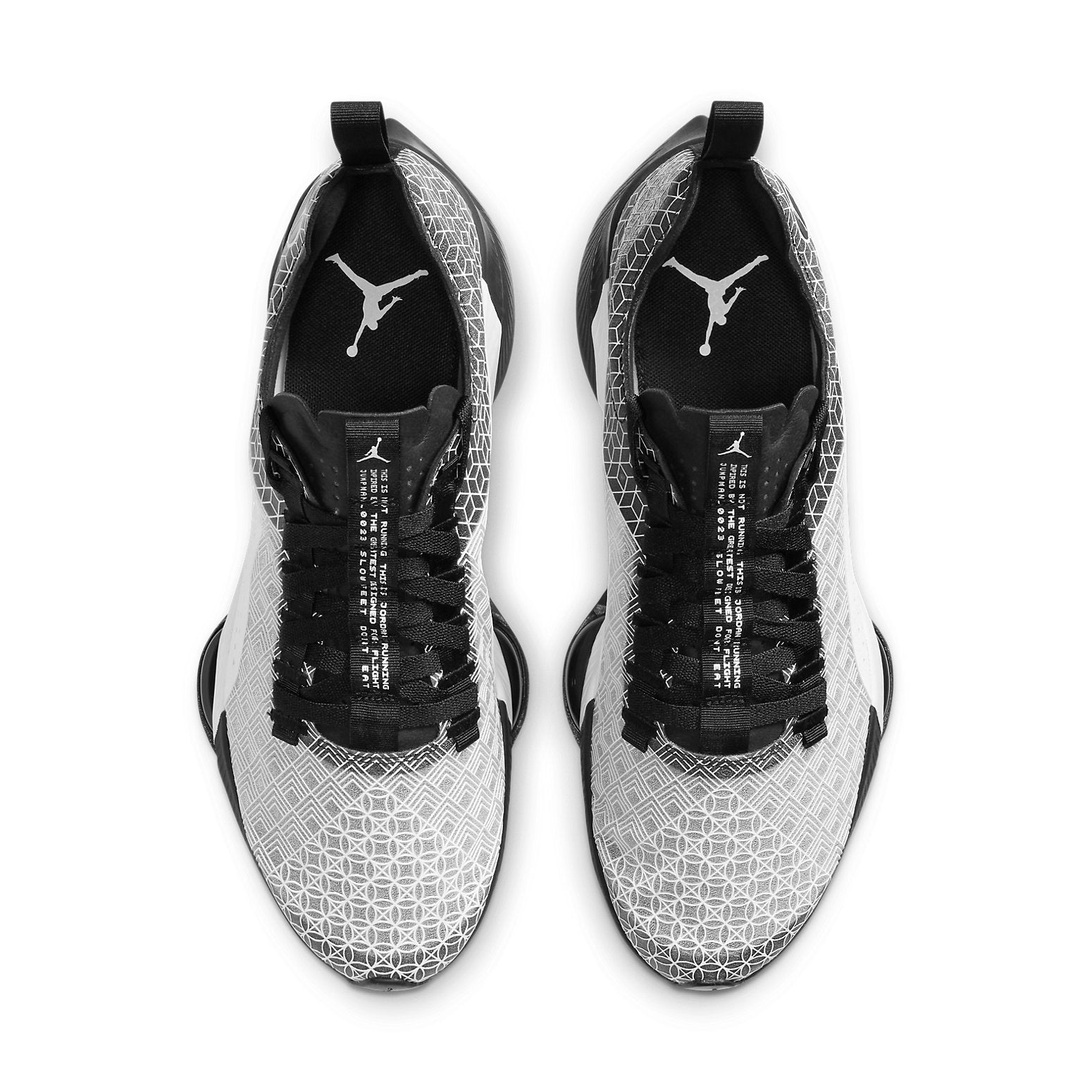 Air Jordan Air Zoom Renegade 'Black White' CJ5383-001