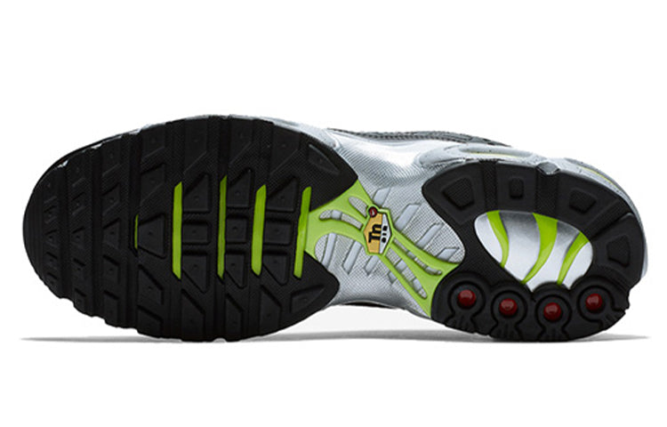 Nike Air Max Plus Premium 'Matte Silver' 815994-003