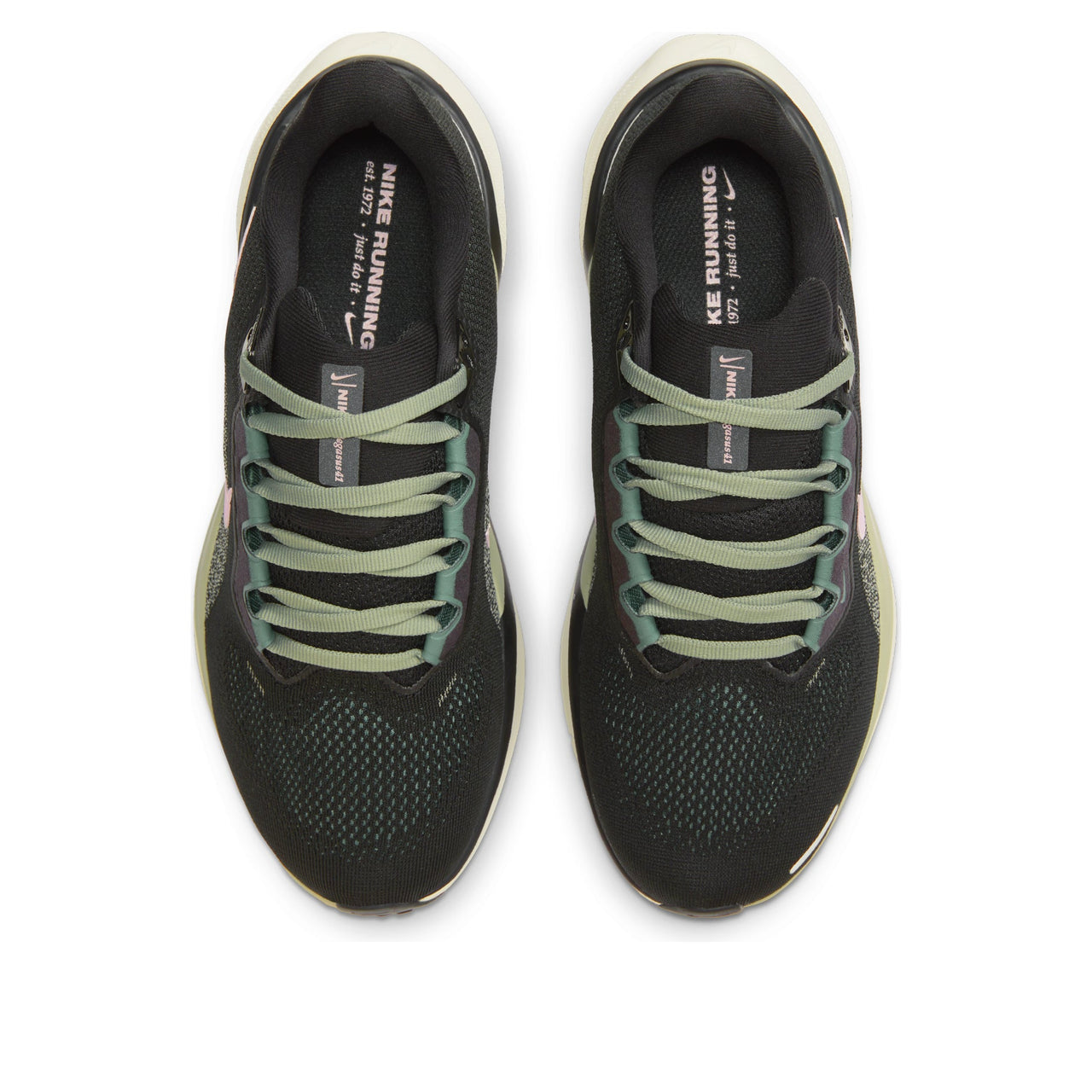 (WMNS) Nike Air Zoom Pegasus 41 'Black Bicoastal Pink Foam' FD2723-009