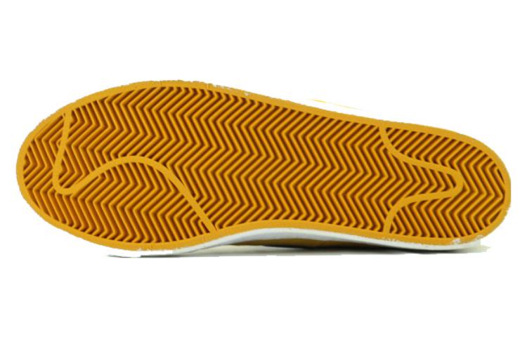 Nike Blazer SB 'UCLA' 310801-741