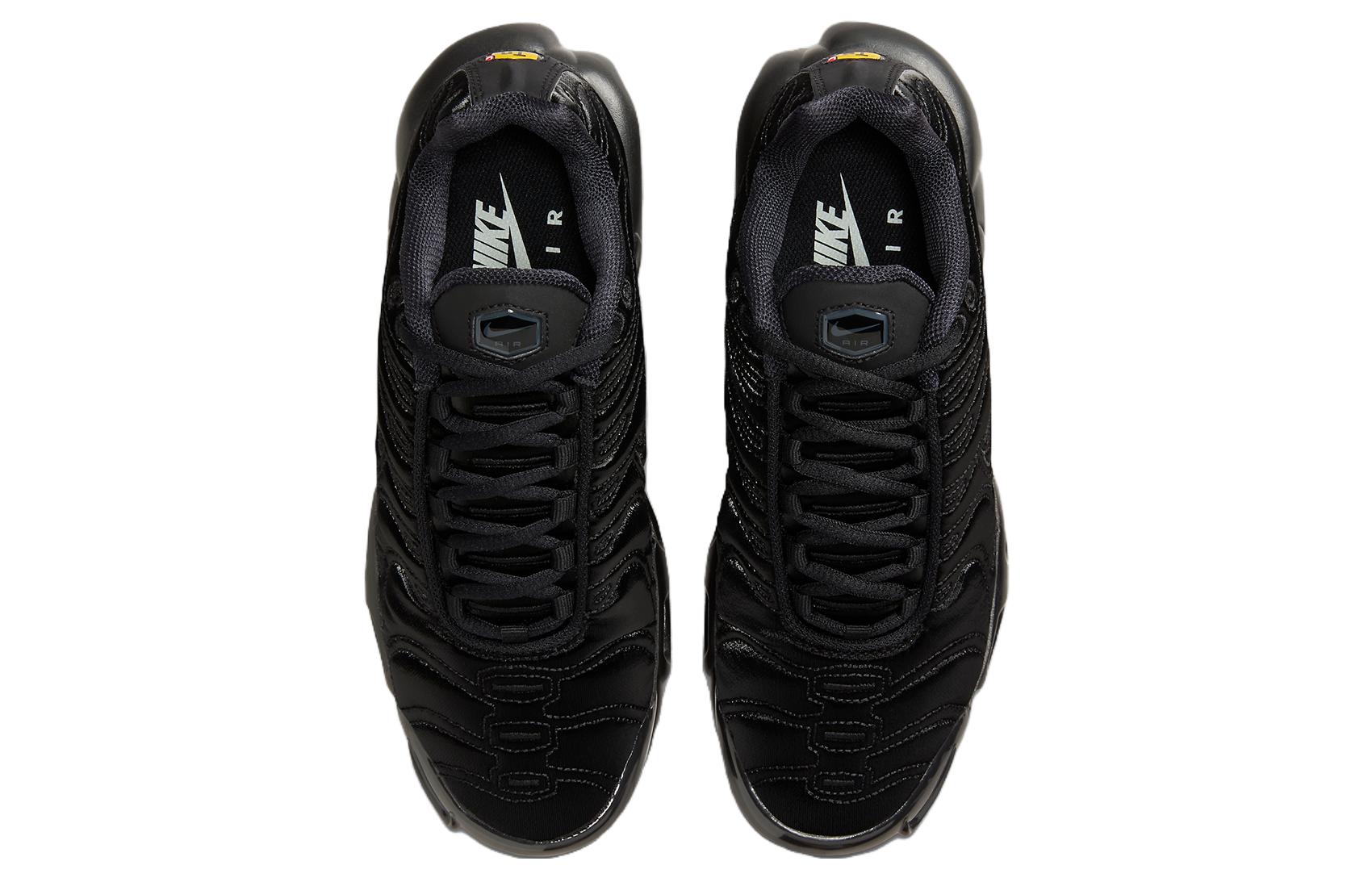 (WMNS) Nike Air Max Plus 'Black Anthracite Sail' FV1169-001
