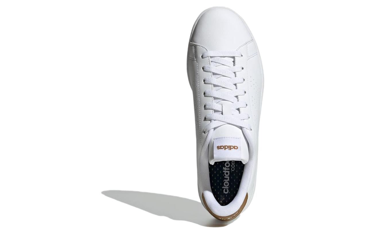 adidas Advantage 'White Brown' IF5340
