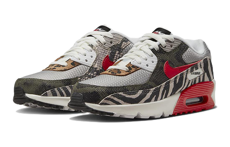 (GS) Nike Air Max 90 'Tunnel Walk' DZ4844-001