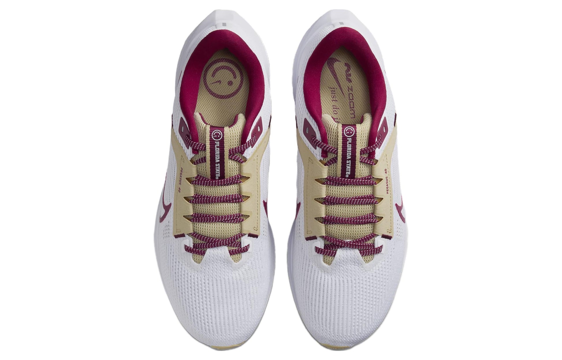 Nike Air Zoom Pegasus 40 'Florida State' DZ5943-100