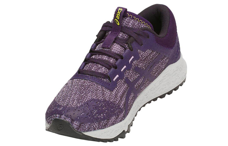 (WMNS) ASICS Alpine Xt Purple T878N-500