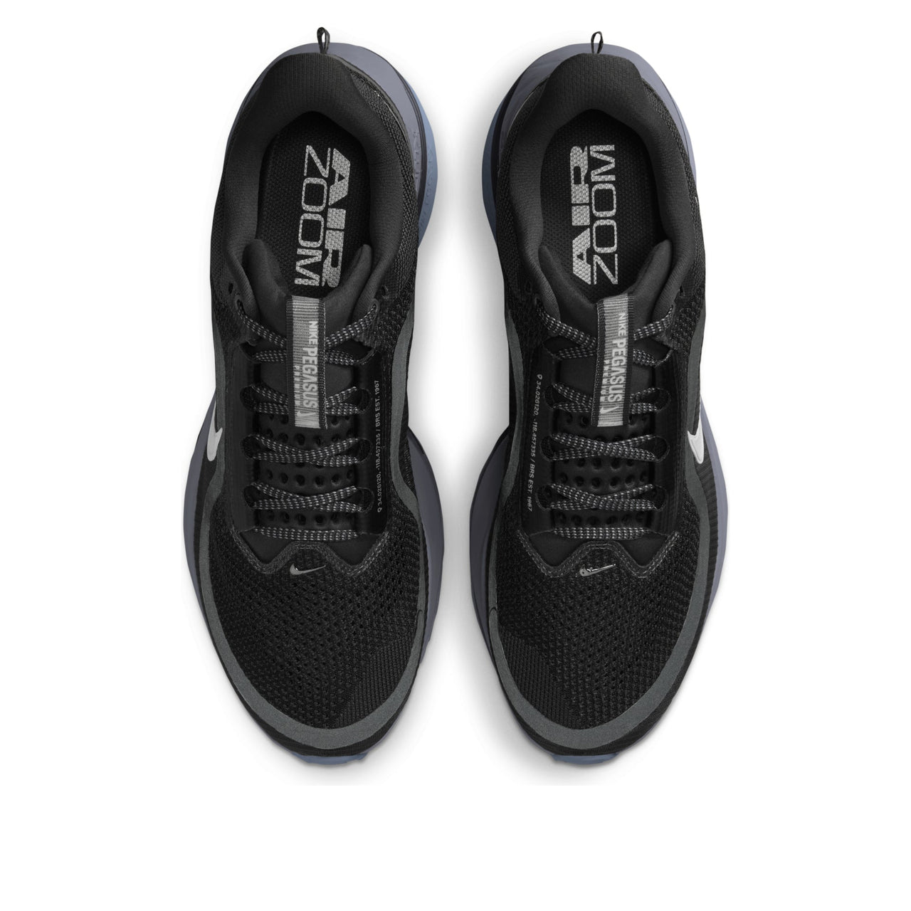 Nike Air Zoom Pegasus Premium 'Anthracite' HQ2592-006