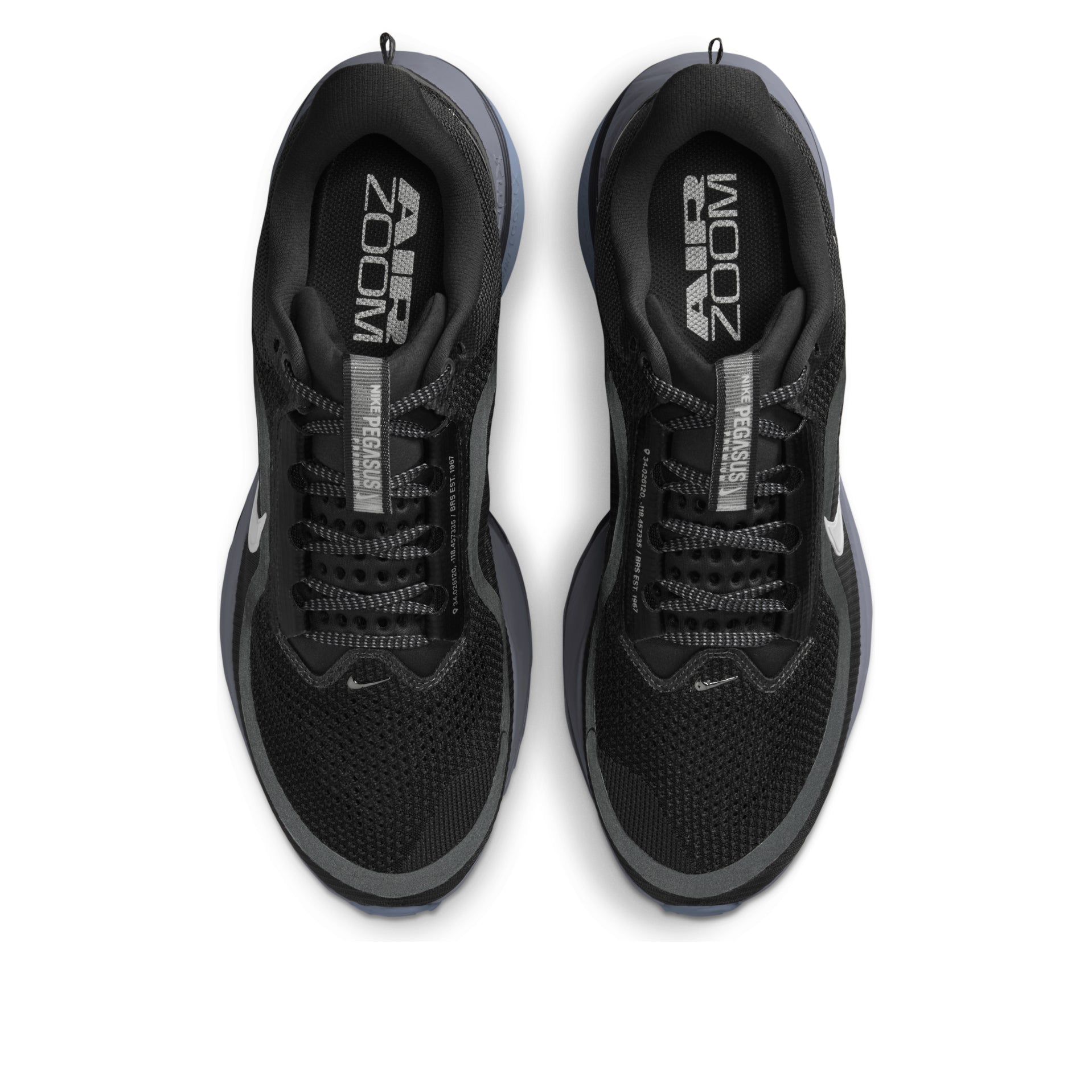 Nike Air Zoom Pegasus Premium 'Anthracite' HQ2592-006