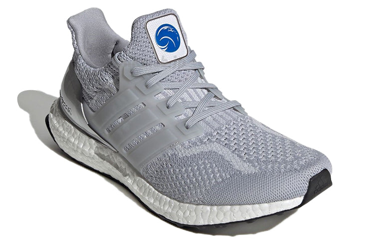 adidas x NASA Ultraboost DNA 'Halo Silver' FX7972