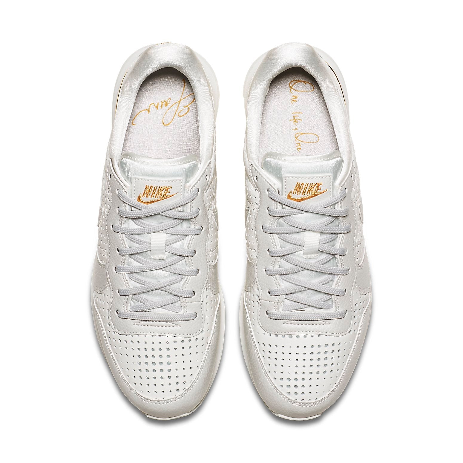 (WMNS) Nike Internationalist Premium QS 'Beautiful Power Pack' AA1435-100