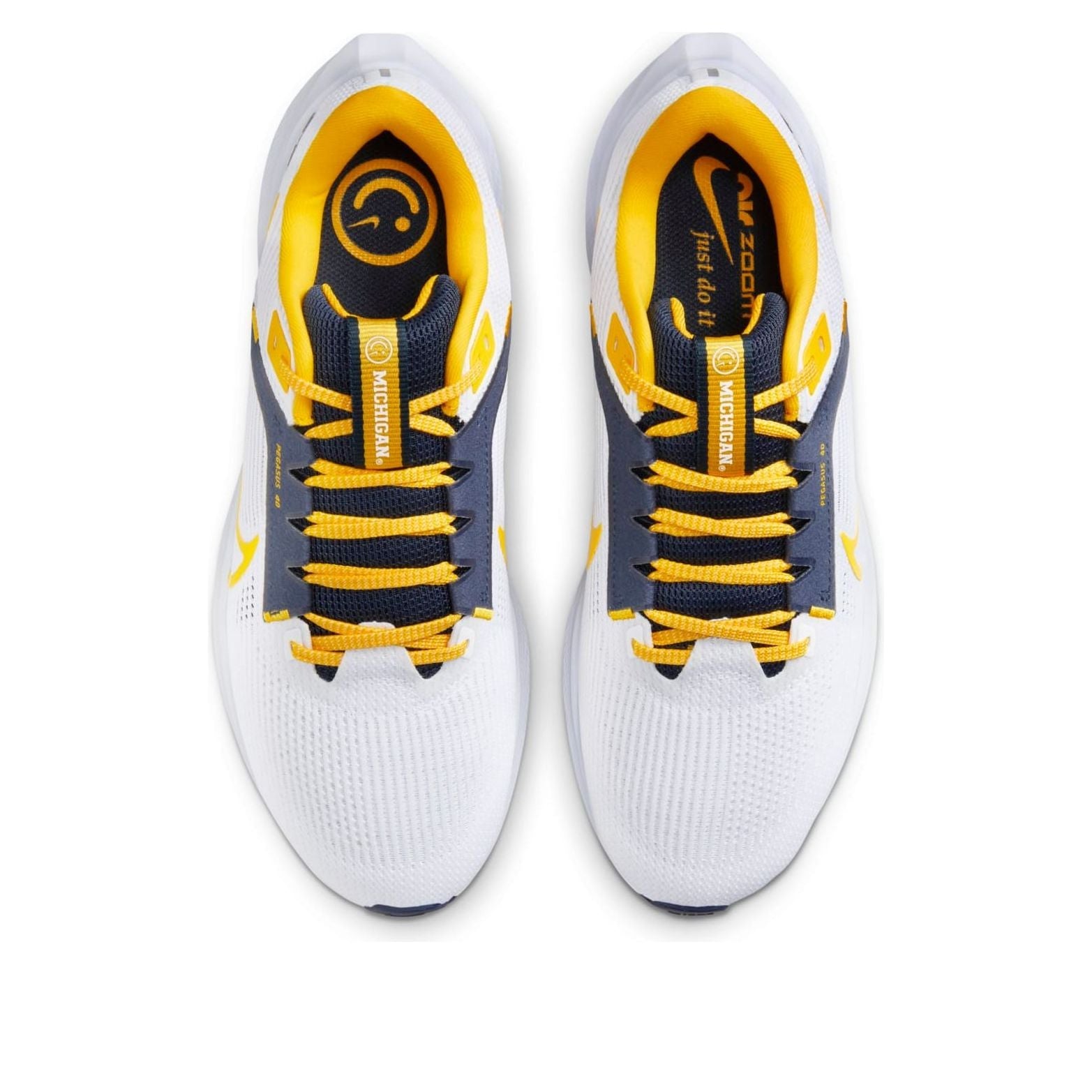 Nike Air Zoom Pegasus 40 'Michigan' DZ6001-100