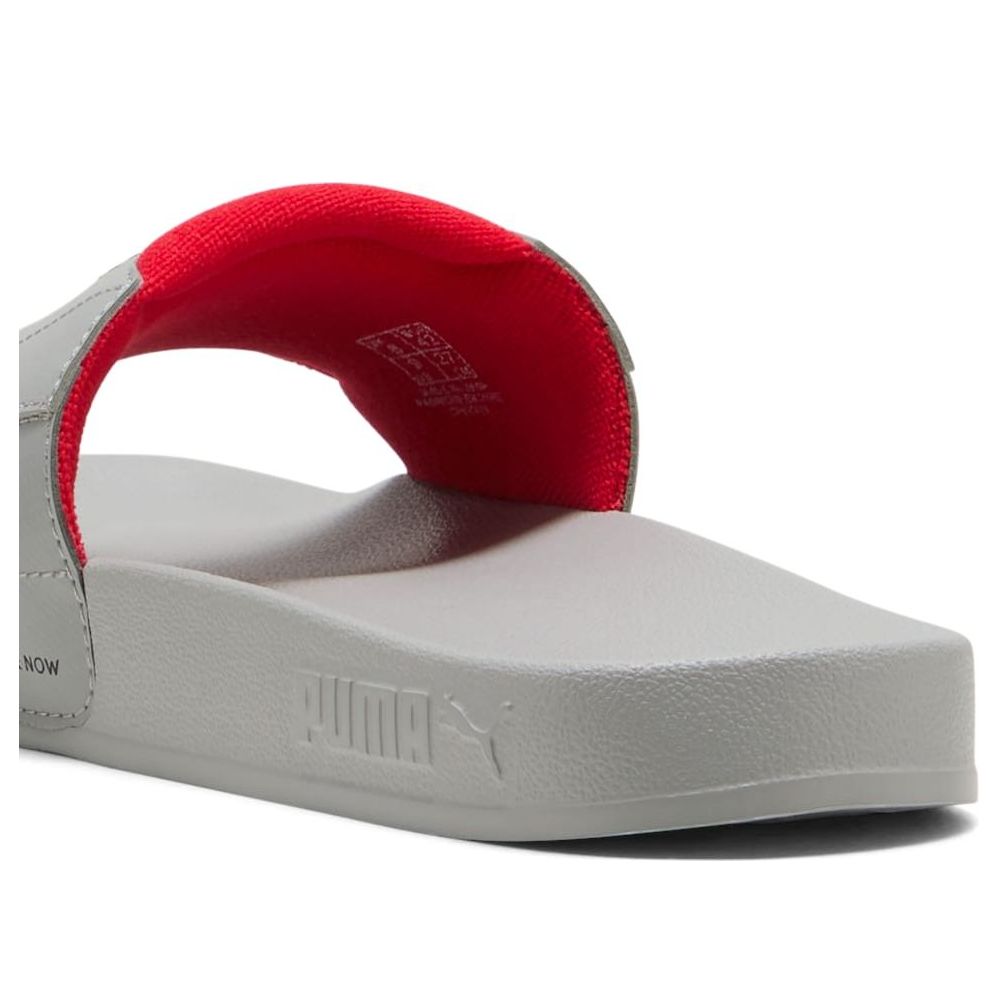 PUMA Formula 1 Leadcat 2.0 'Gray Echo Pop Red' 308897-01