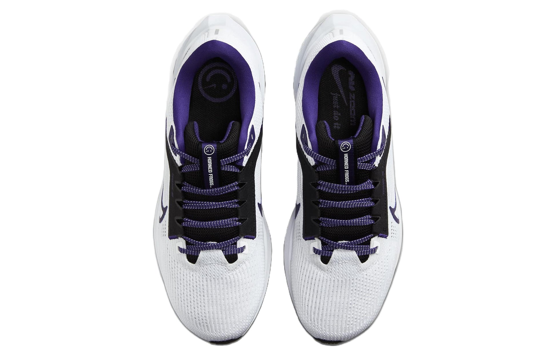 Nike Air Zoom Pegasus 40 'TCU' DZ5961-100
