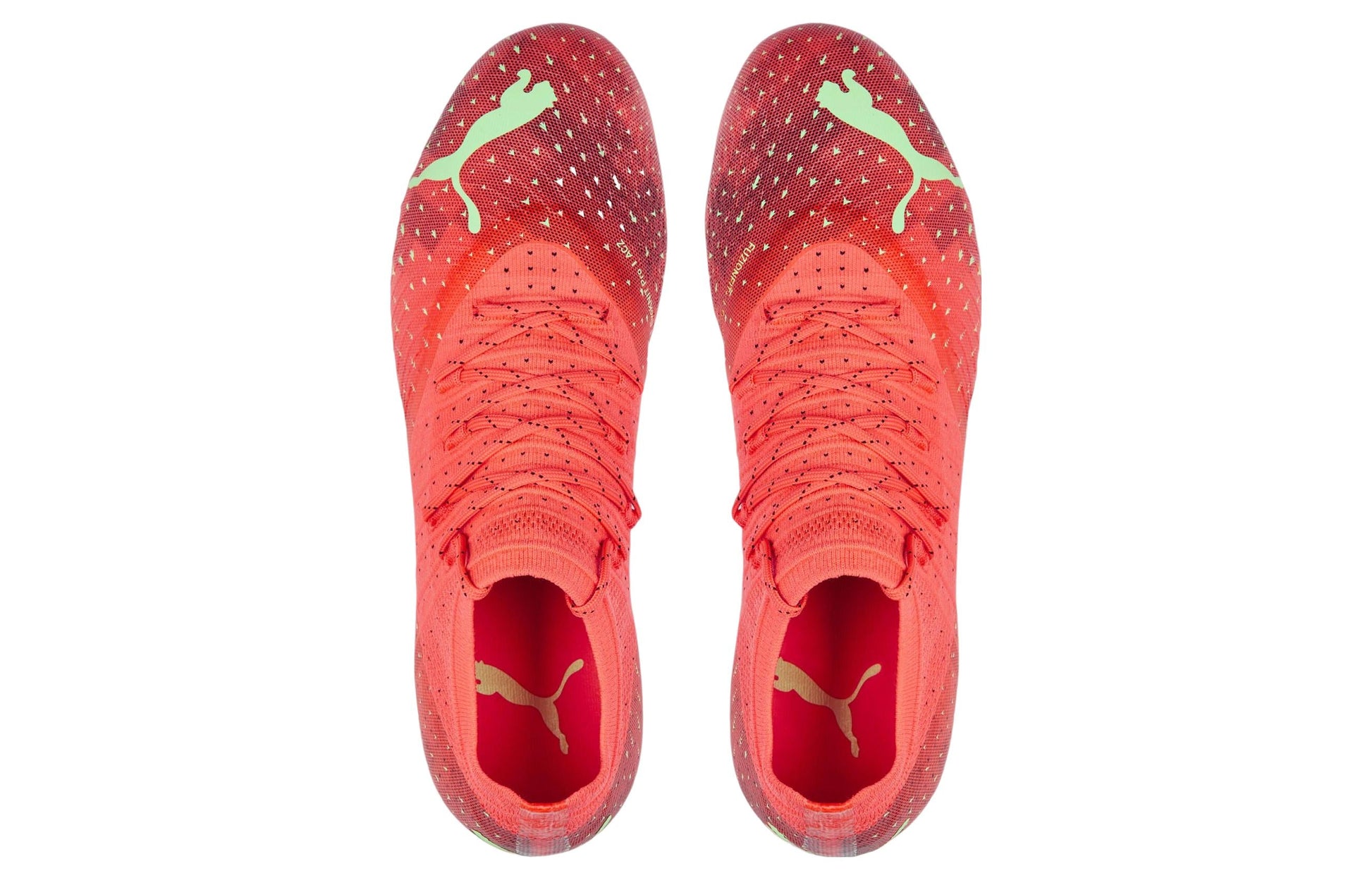 PUMA Future 2.4 FG AG 'Fearless Pack' 106995-03