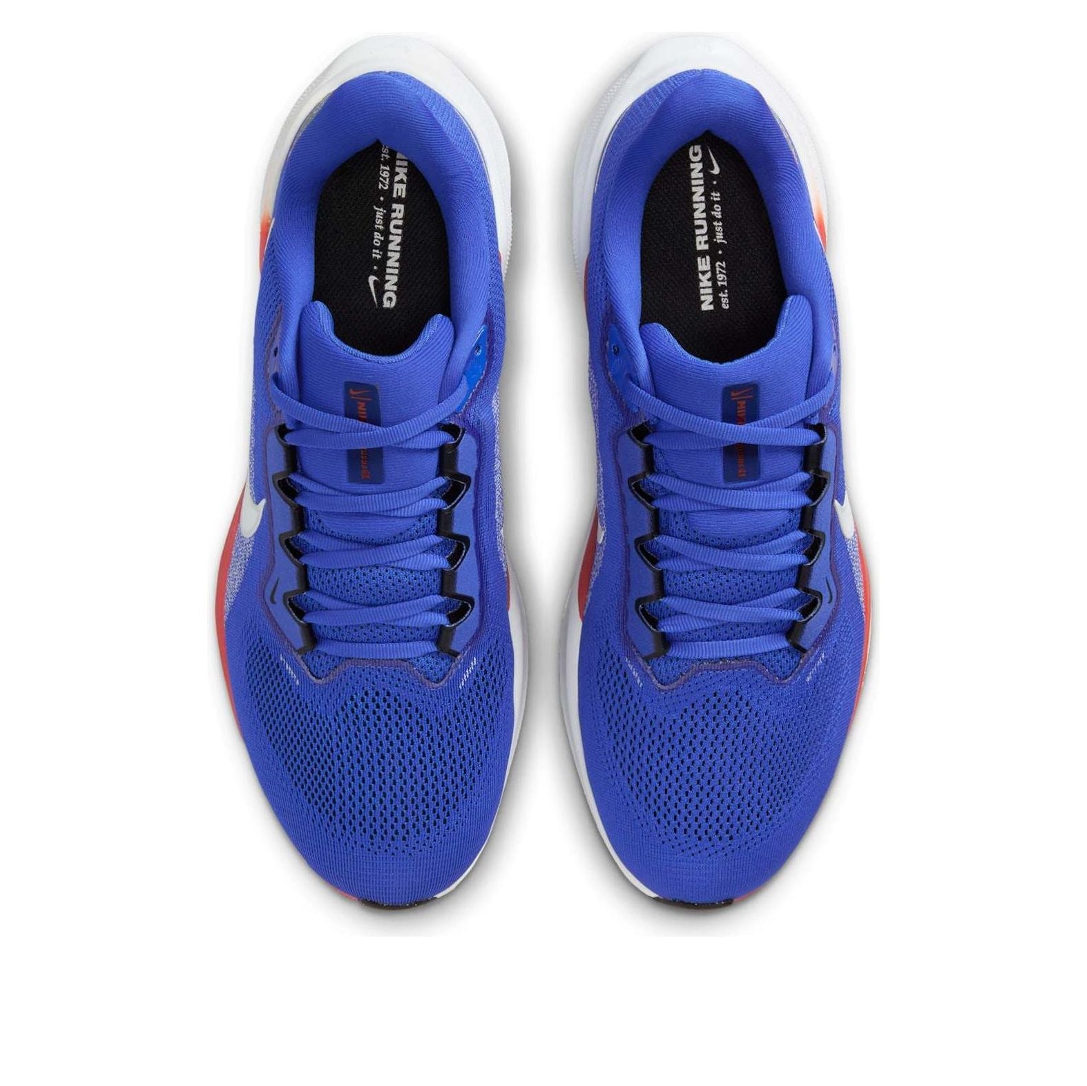Nike x NCAA Pegasus 41 'UF' IB3251-400
