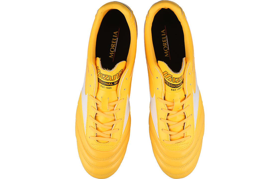 Mizuno Morelia 2 Pro AG P1GA221401