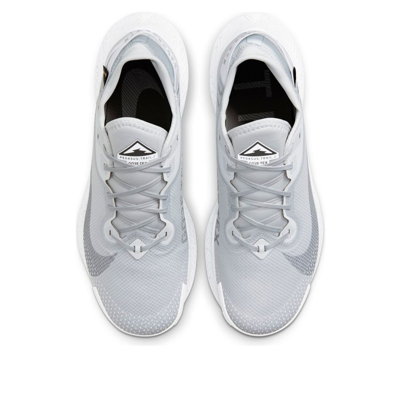 Nike Pegasus Trail 2 GTX 'Pure Platinum' DC1933-100