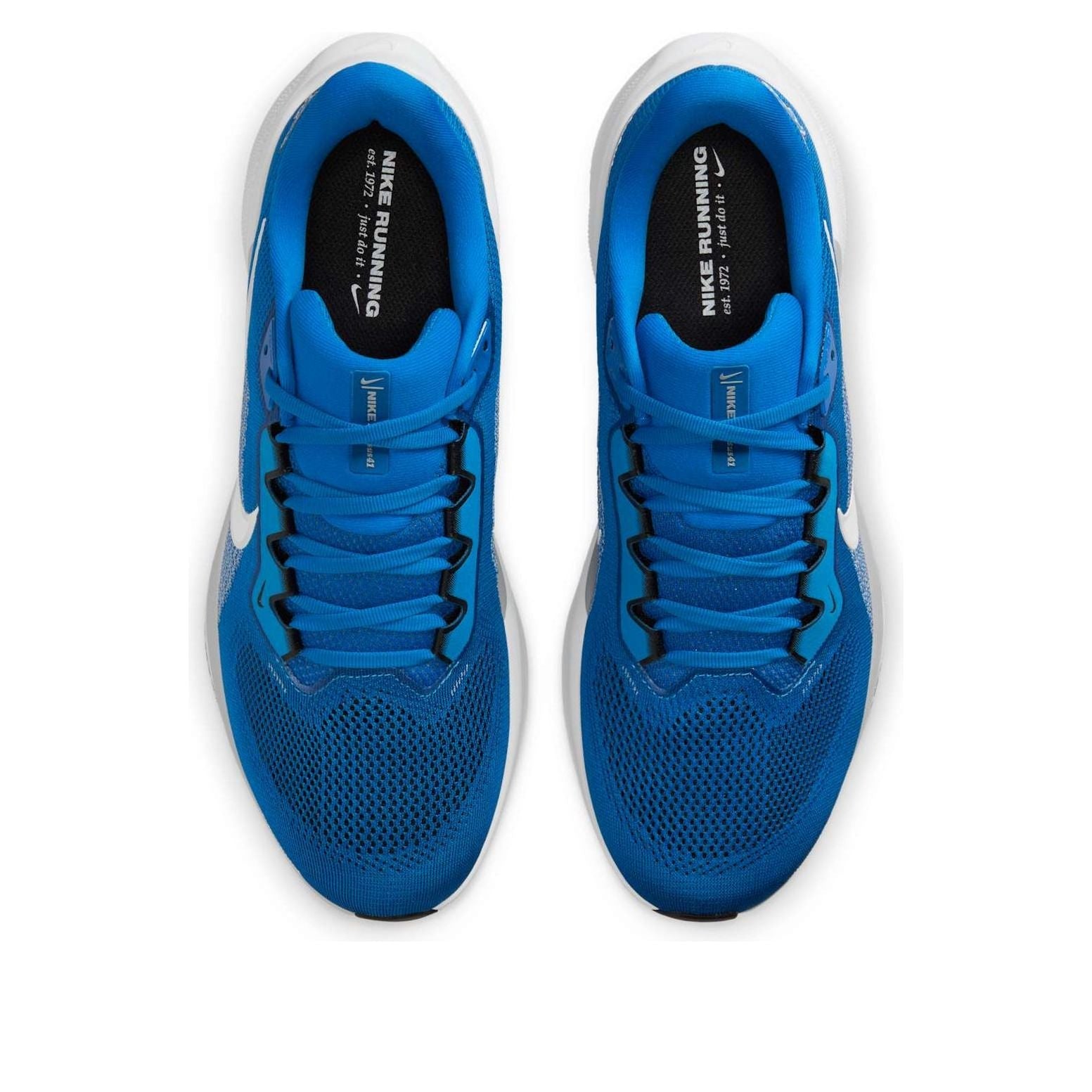 Nike Air Zoom Pegasus 41 NFL 'Detroit Lions' IB3206-400