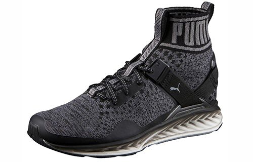 PUMA Ignite evoKnit 'Asphalt Quiet Shade' 189895-01