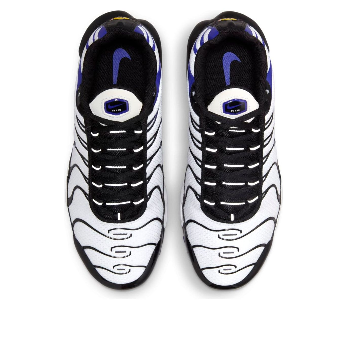 (GS) Nike Air Max Plus 'Persian Violet' CD0609-104