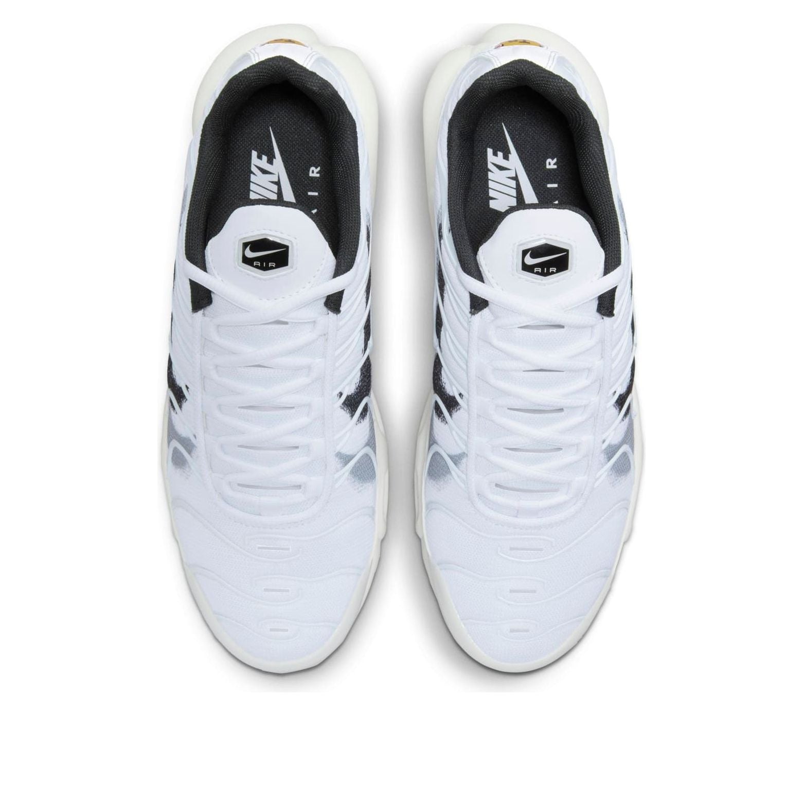 Nike Air Max Terrascape Plus 'Spray Paint Swoosh' FD0658-100
