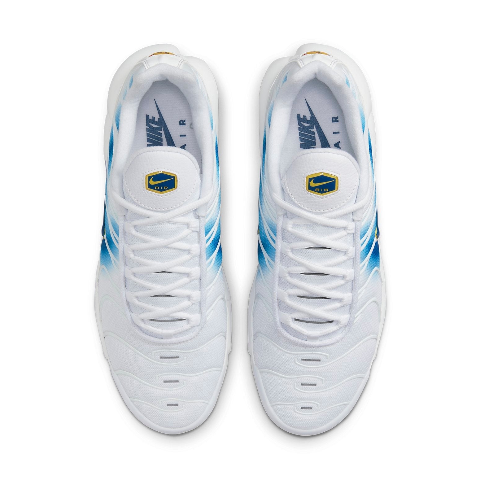 Nike Air Max Plus 'Spray Paint Swoosh' DX8962-100