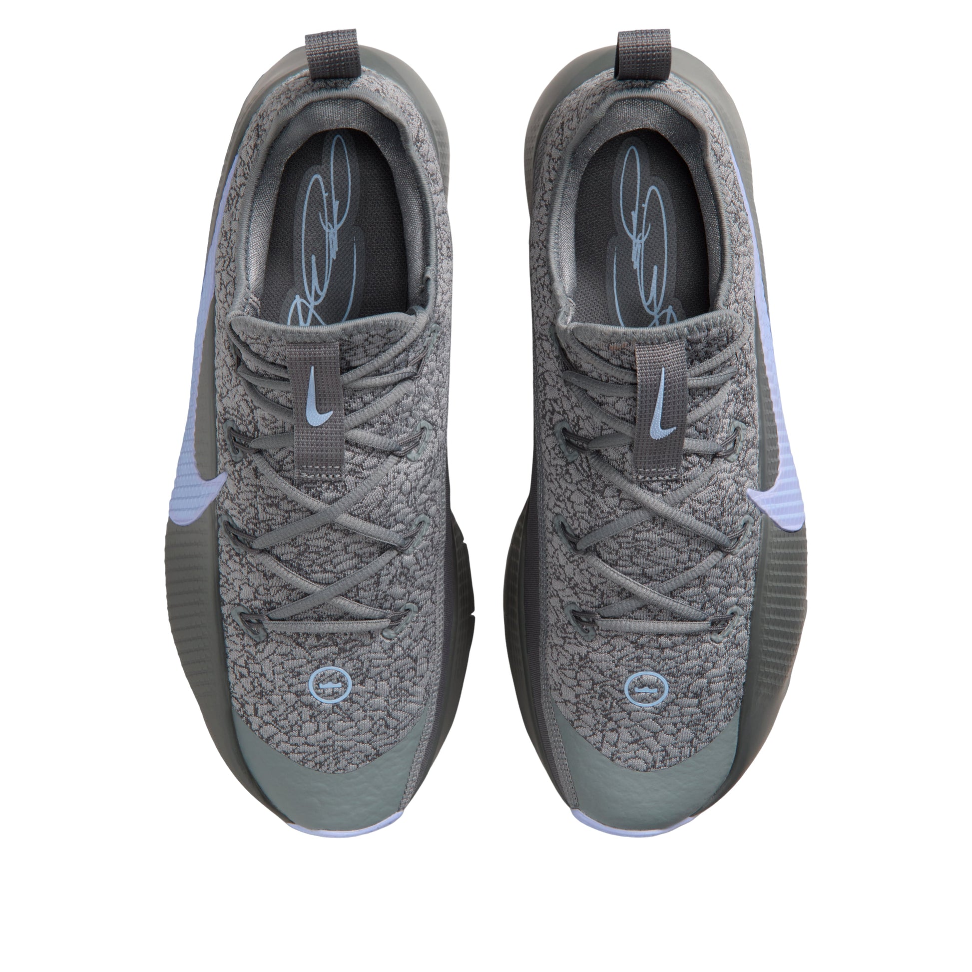 Nike LeBron TR 1 'Cool Gray Iron Gray Aluminum' FJ6151-008