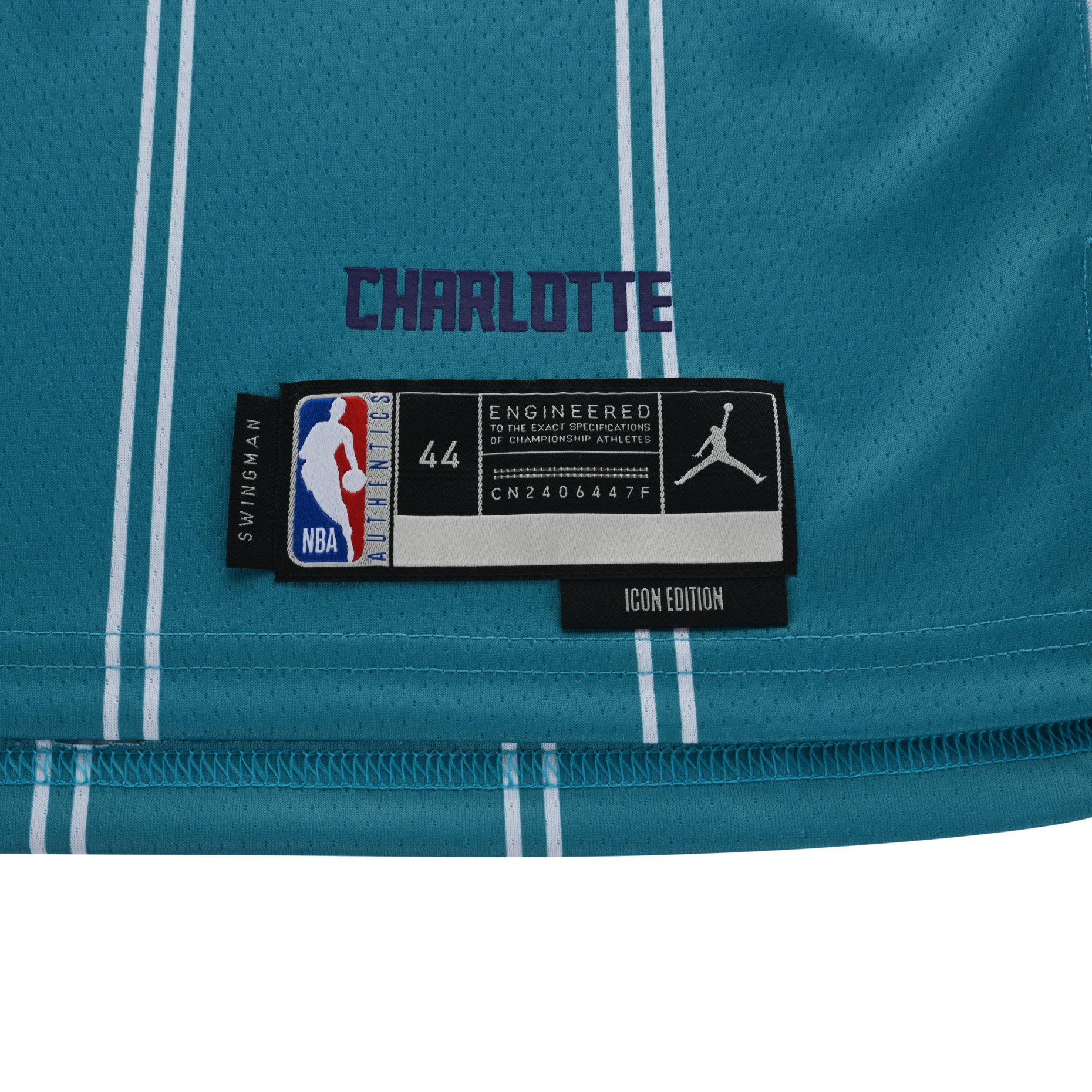 Air Jordan  Dri-FIT NBA Charlotte Hornets Lamelo Ball Icon Edition 2022/23 Swingman Jersey 'Green' DN1998-415