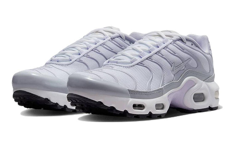 (GS) Nike Air Max Plus 'Pure Platinum Violet Frost' CD0609-108