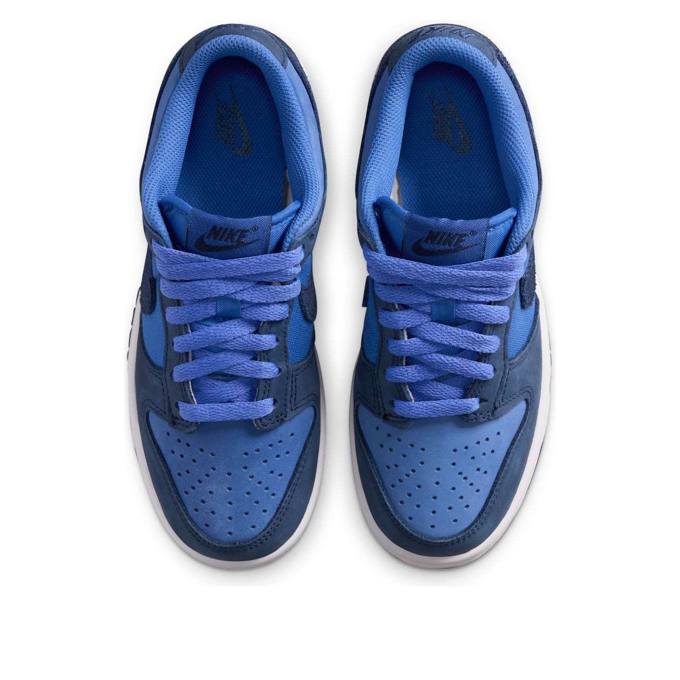 (GS) Nike Dunk Low SE 'Comet Blue' HQ9293-400
