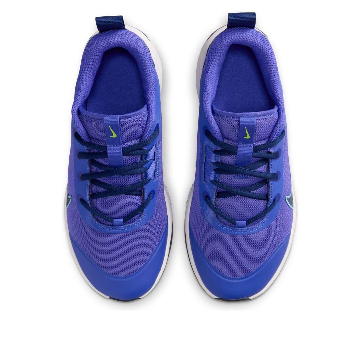 (GS) Nike Omni Multi-Court GS 'Persian Violet' DM9027-500