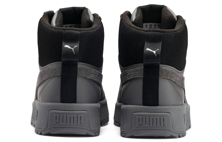 PUMA Tarrenz SB Sneakers Grey 370551-03