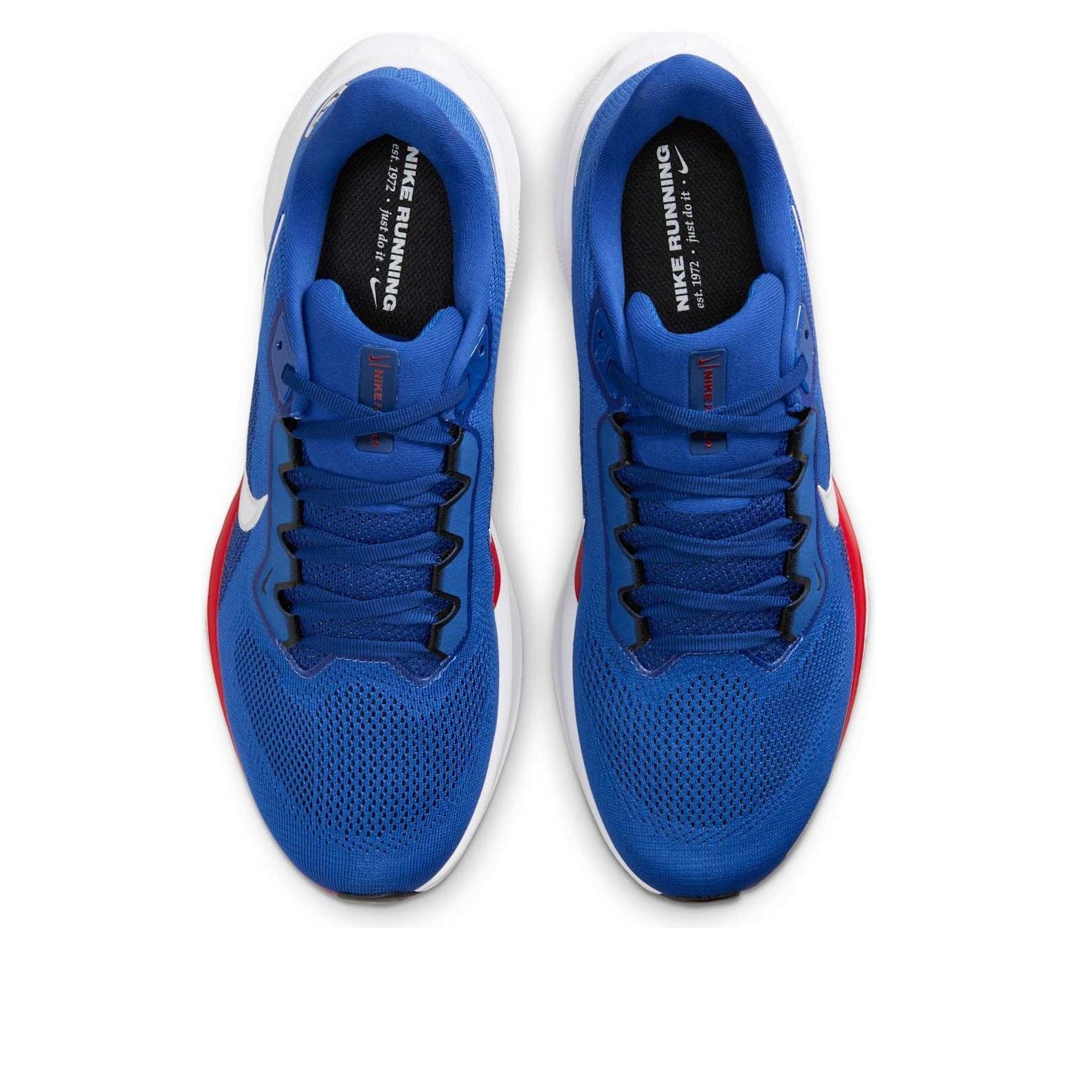 Nike x NFL Pegasus 41 'New York Giants' IB3203-400