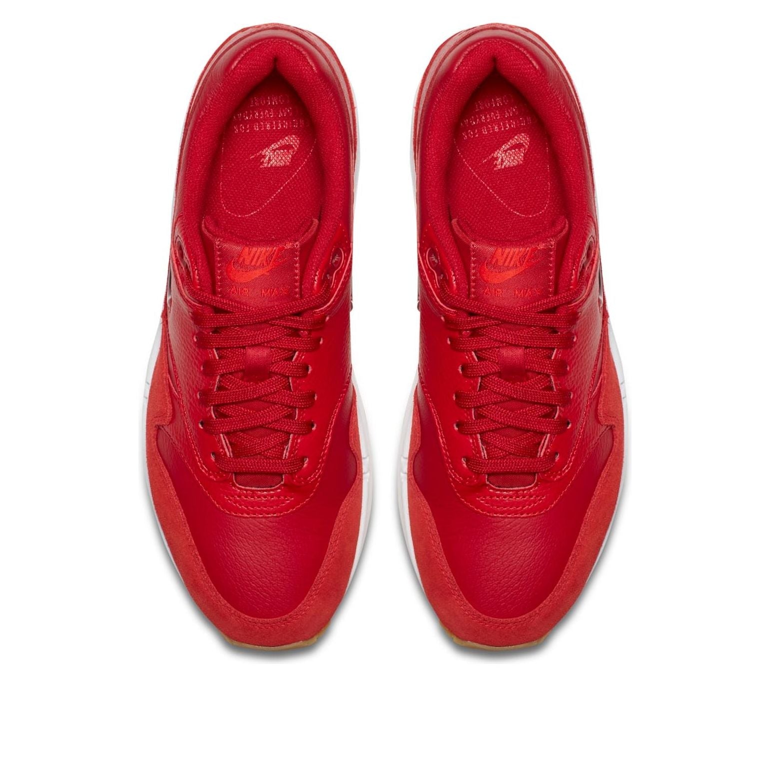 (WMNS) Nike Air Max 1 Premium Jewel 'Gym Red' AA0512-602