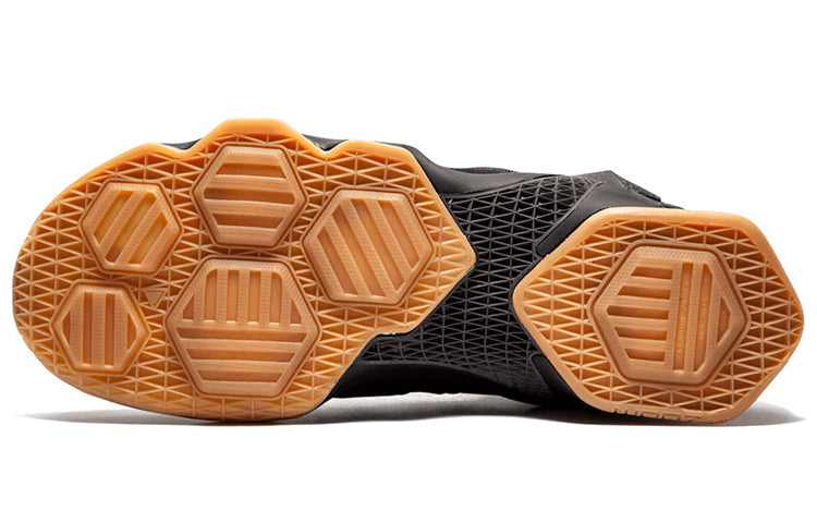 Nike LeBron 13 'Black Lion' 807219-001